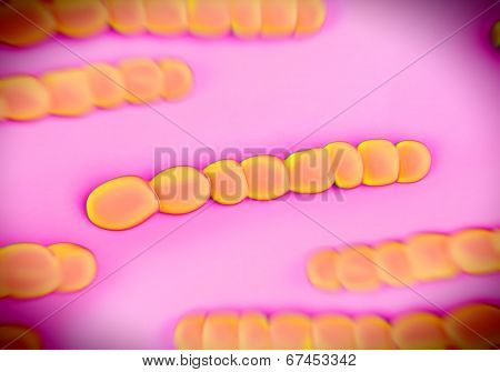 Streptococcus pneumoniae, bacteria artwork