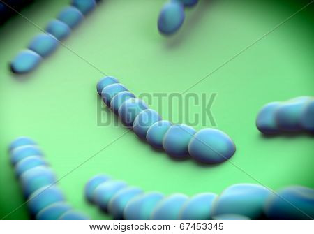 Streptococcus pneumoniae, bacteria artwork