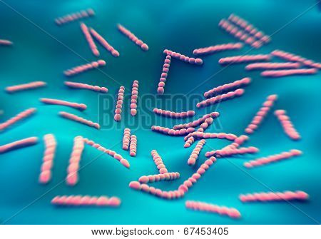 Streptococcus pneumoniae, bacteria artwork