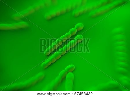 Streptococcus pneumoniae, bacteria artwork