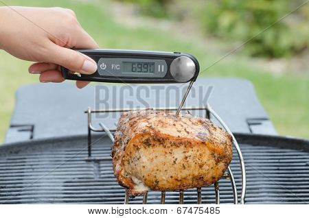 Pork Roast On The Grill With Thermometer
