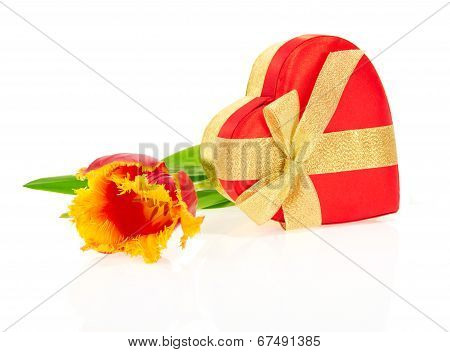 Tulip, the gift box of heart