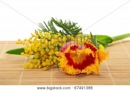 Tulip, mimosa on the bamboo cloth