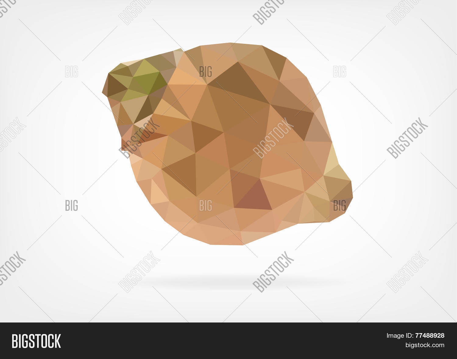 Image Preview