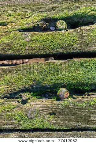 Old Mossy Planks From Close