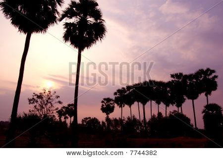 Aamulla