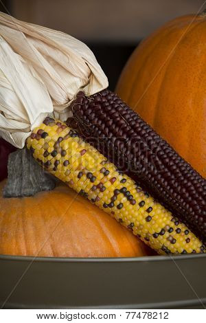 Thanksgiving corn