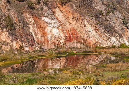 Vibrant Reflection