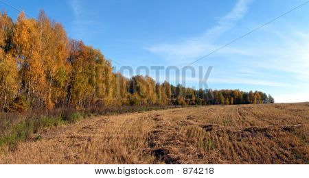 Automne.