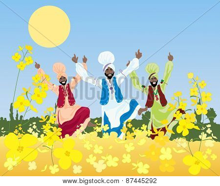 Punjabi Harvest