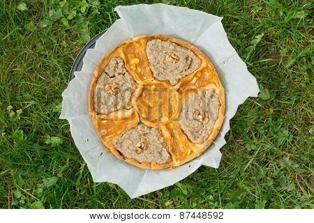 tart fruit handmade freshly baked on grass