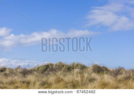 Sunny Blue Spring Time Sky And Grassy Hill