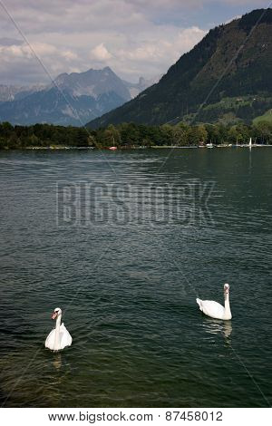 Zeller Lake, Zell am See, Austria, Europe
