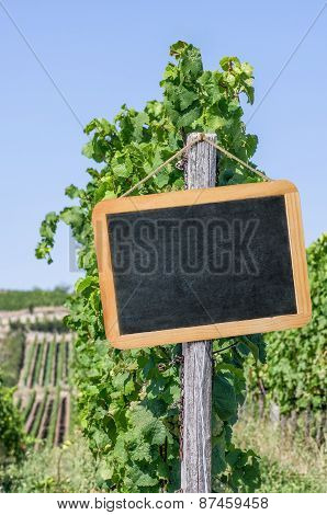 Blank Blackboard In The Vineyards