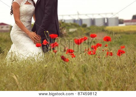 Bride And Groom Posing In The Fields