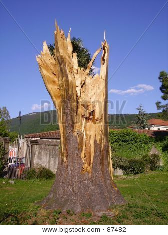 De kracht van Thunder