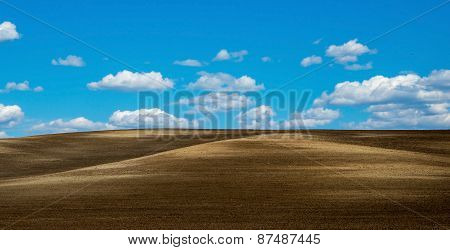 Plowed land.