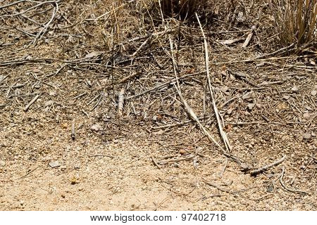 rocks and ground in sunny day