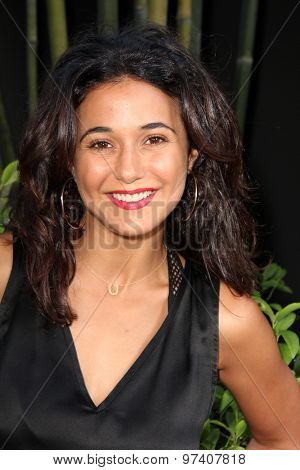 LOS ANGELES - JUL 29:  Emmanuelle Chriqui at the 
