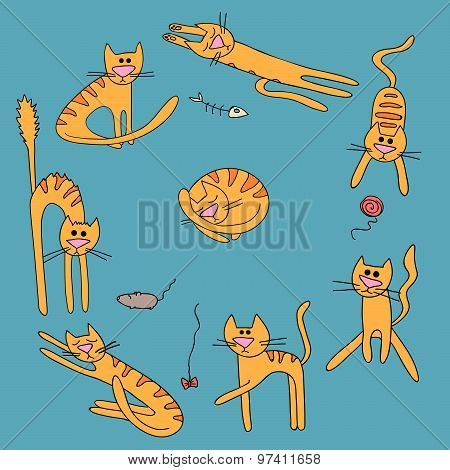 Cat set