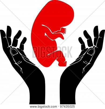 Human hands with fetus vector symbol.