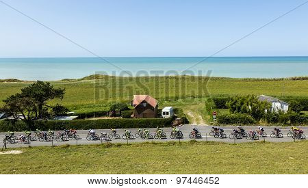 The Peloton In Normandy - Tour De France 2015