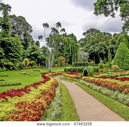 Botanical Garden Of Peradeniya