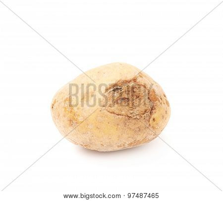 Spoiled brown potato isolated