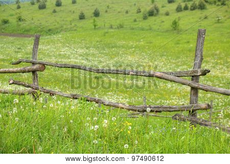 Old Fence