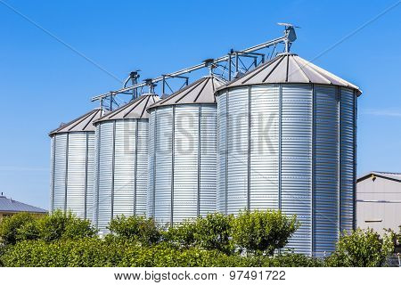 Four Silver Silos In Field Under Bright Sky