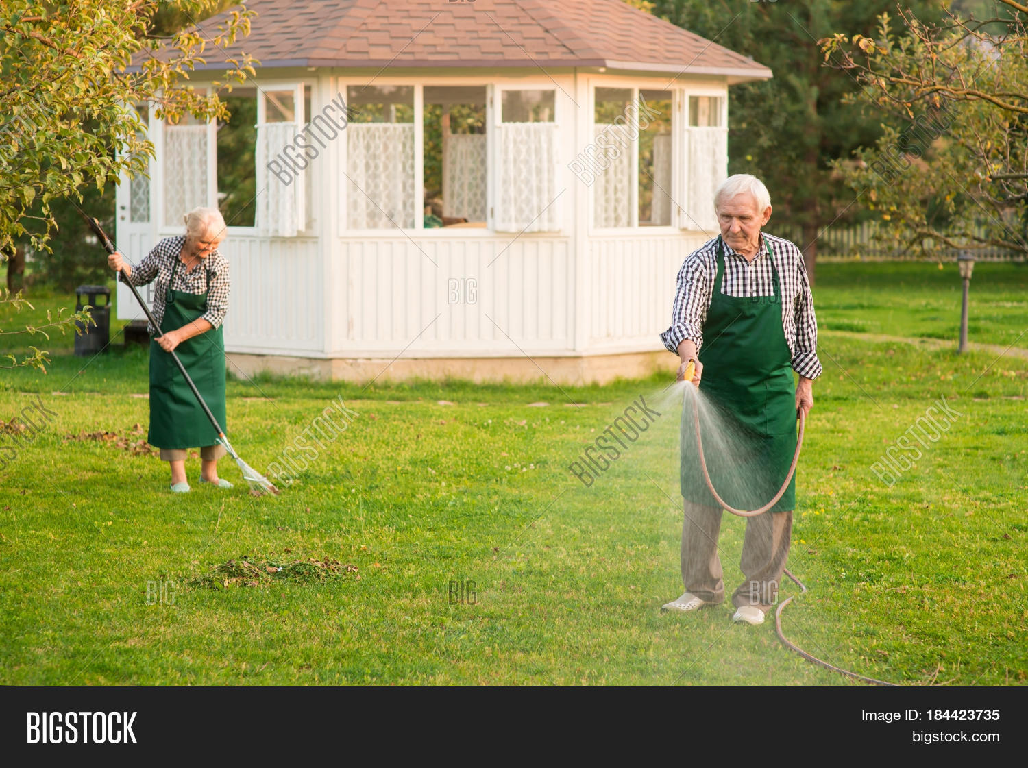 Senior Man Garden Hose Image & Photo (Free Trial) Bigstock