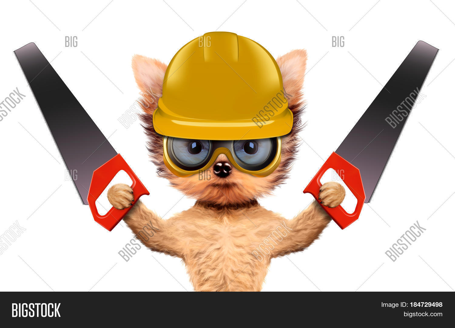 Funny Dog Saw Safety Glasses Image & Photo Bigstock