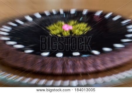 Blurry view of a delicious chocolate cake with pistachio on topping