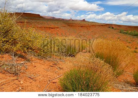 Valley of the Gods in Blanding, Utah