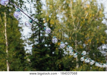 Decorative outdoor string lights hanging on tree in the garden at day time