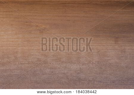 Texture of a wooden pine pattern on a finishing panel
