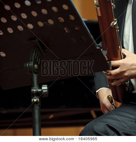 Fagotin soittaja Concert