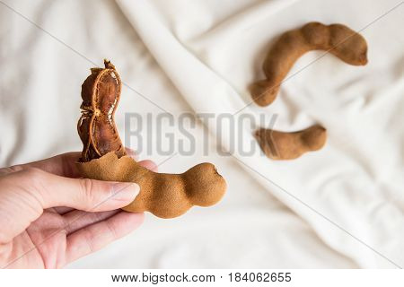 Ripe raw peeled tamarind in female hand