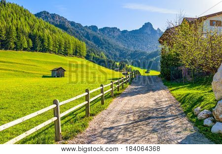 Italy Dolomites the green valley of Latemar