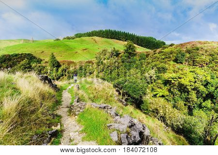 Young female tourist walking on the hiill in Waitomo North Island of New Zealand