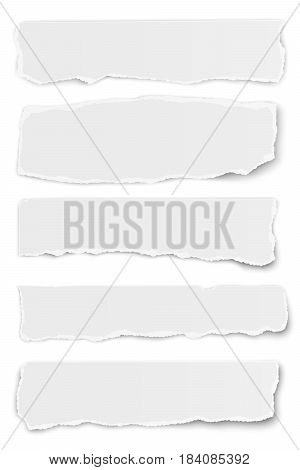 Collection of vector oblong torn paper tears isolated on white background
