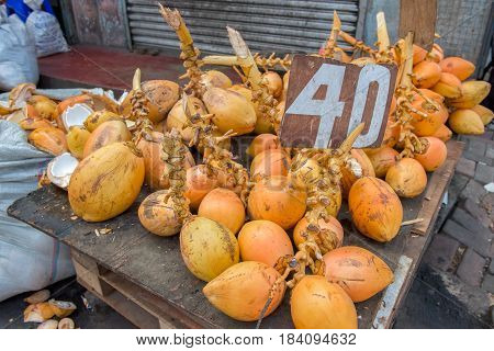 Close up of King Coconut fruit at Sri Lanka