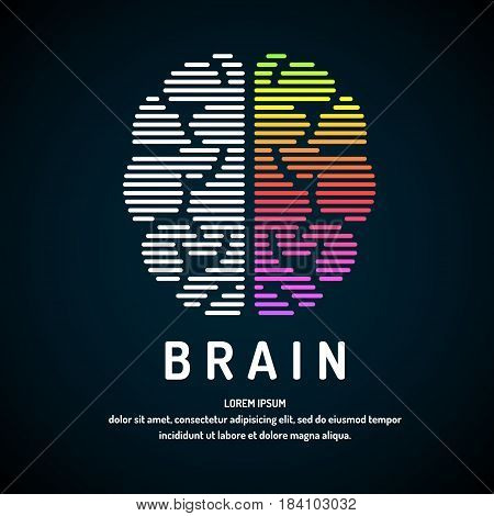Vector logo brain color silhouette on a dark background.