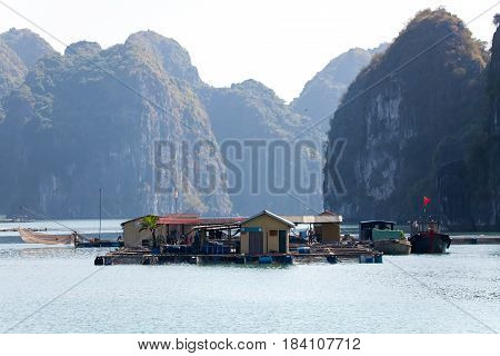 Floating fishing village with rock island in background, Ha Long bay, Vietnam.