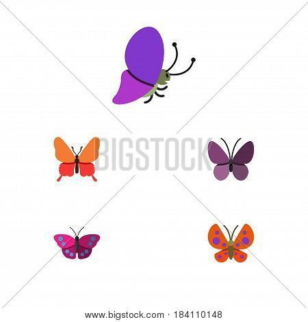 Flat Butterfly Set Of Summer Insect, Danaus Plexippus, Archippus And Other Vector Objects. Also Includes Insect, Archippus, Moth Elements.