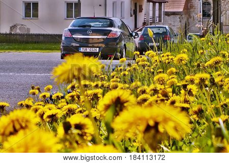 Stvolinky Machuv kraj Czech republic - April 14 2017: black car Opel Astra H stand on green square in spring afternoon