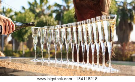 Many Glasses Of Champagne Or Prosecco Near Resort Pool In A Luxury Hotel. Pool Party.