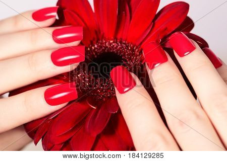 Beauty Hands With Red Fashion Manicure And Bright Flower. Beautiful Manicured Red Polish On Nails