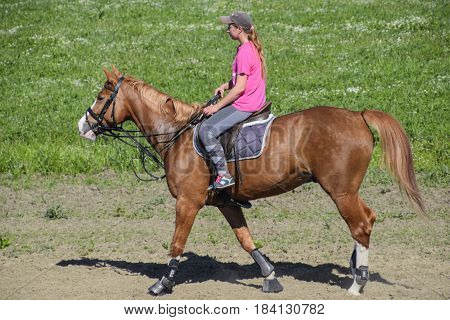 Equestrian Sports With Teenagers. Horse Club. A Girl Is Riding A Horse.