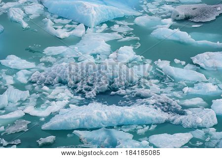 Chunks of fallen ice floating in the lake beneath a glacier in Argentina